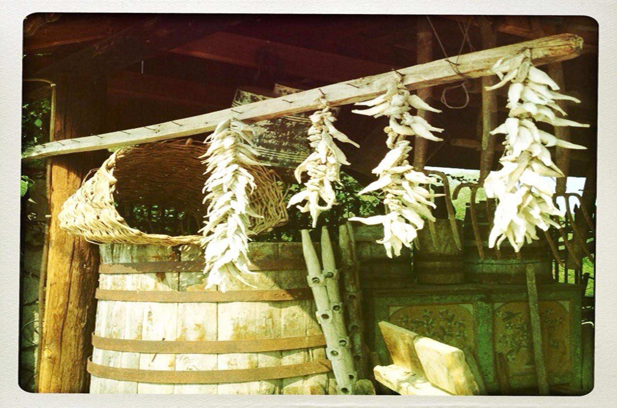Prespa Resort & Spa Platy  Exterior foto