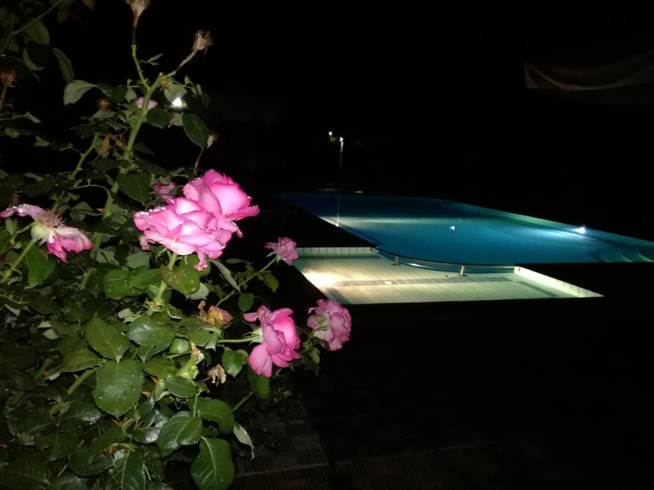 Prespa Resort & Spa Platy  Exterior foto